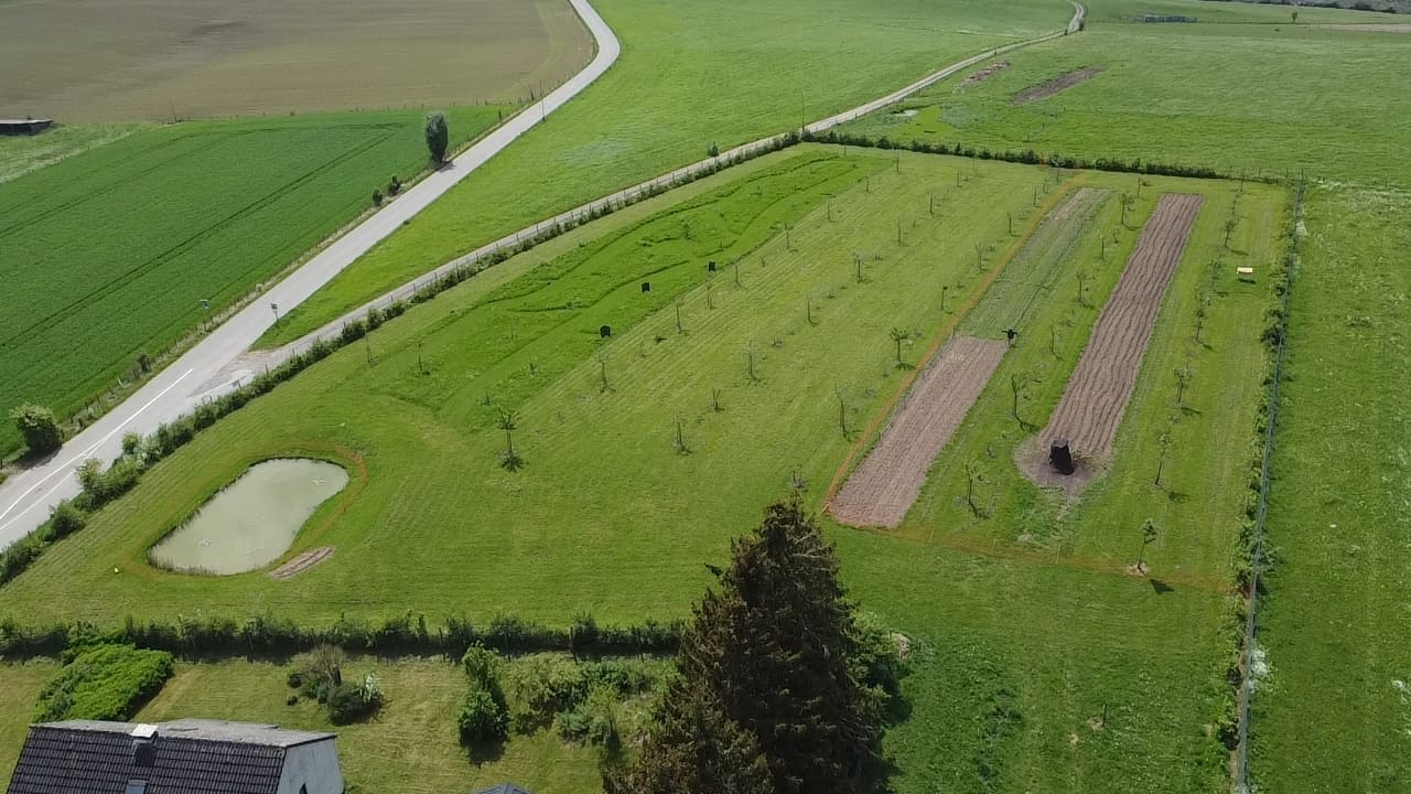 Jardin fruitier : conception, plantation & entretien – 07 et 08 Février 2026