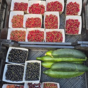 Légumes