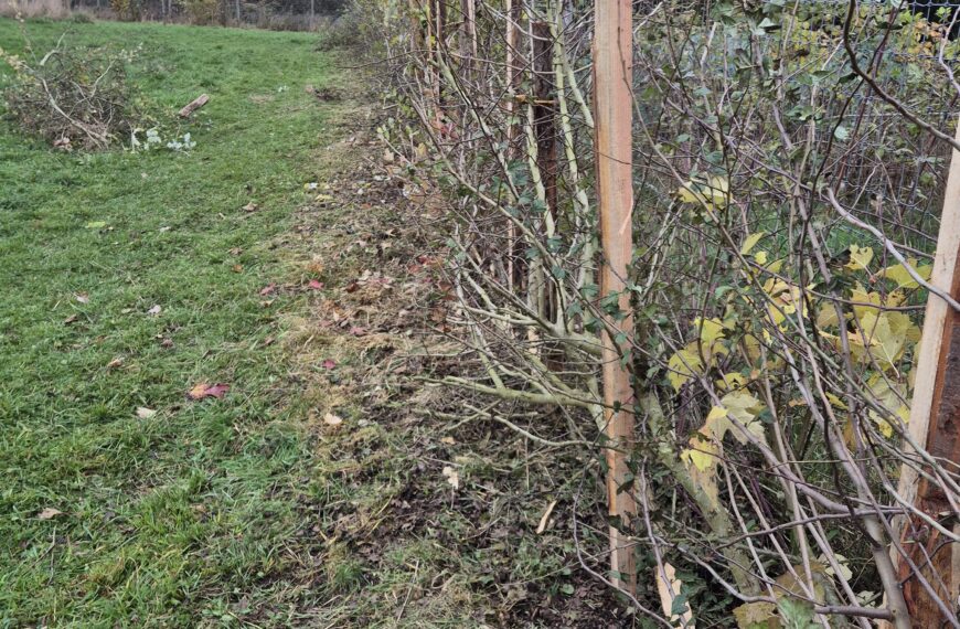 Formation plessage de haie – 28/02/2026