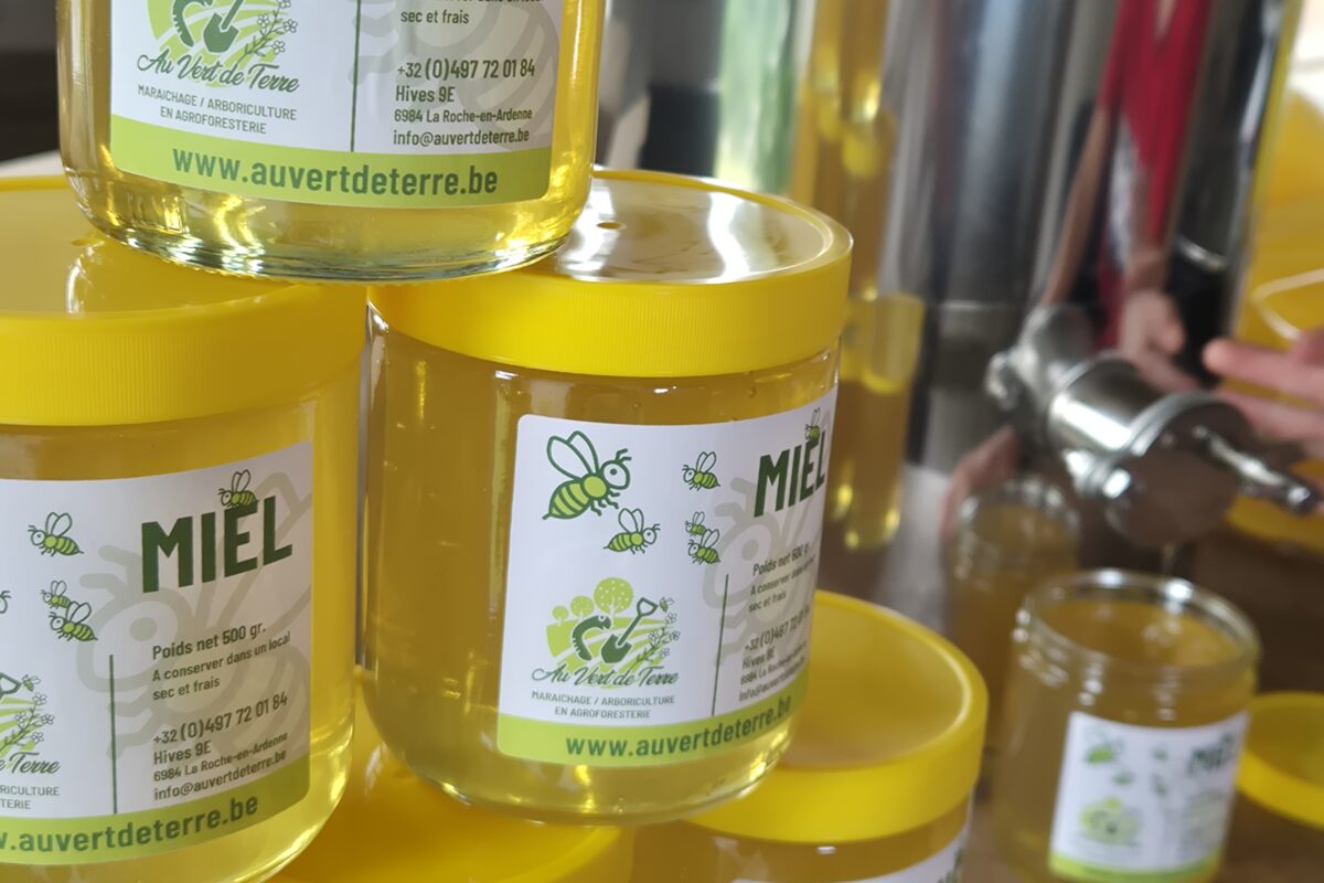 Récolte de miel 2025