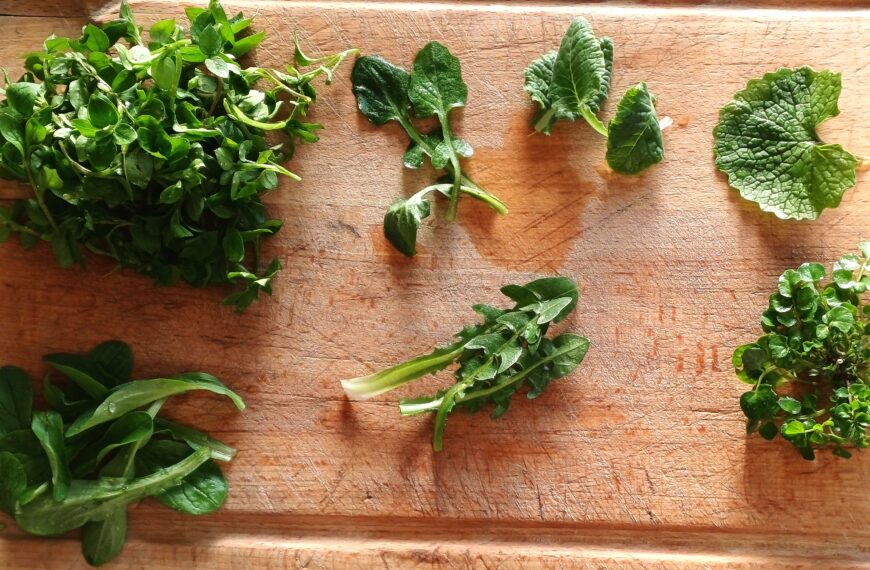 Journée « plantes sauvages comestibles » – 11 Avril 2026