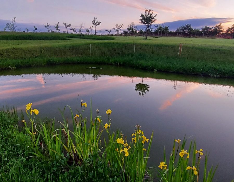 L'étang sous le couché du soleil