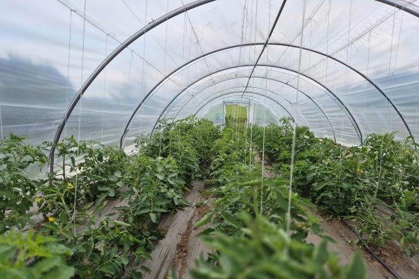 serre-paysage-landing